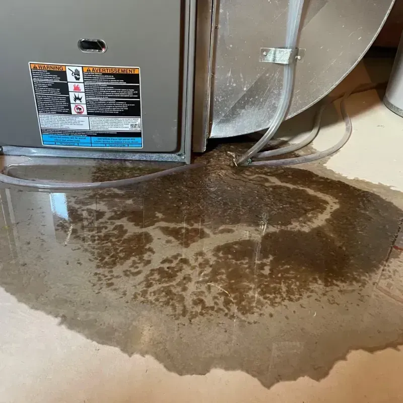 Appliance Leak Cleanup in Seward, AK